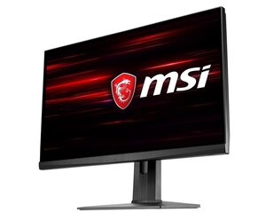 MSI Optix MAG251RX цена и информация | Мониторы | pigu.lt