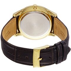 Мужские часы Citizen BD0043-08B цена и информация | Мужские часы | pigu.lt