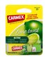 Lūpų balzamas Carmex Lime, 4.25 g цена и информация | Lūpų dažai, blizgiai, balzamai, vazelinai | pigu.lt