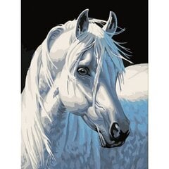 Набор для рисования «Белоснежный конь» цена и информация | Набор для рисования по номерам | pigu.lt
