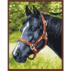 Piešimo rinkinys Tamsus arklys 30x40 kaina ir informacija | Tapyba pagal skaičius | pigu.lt