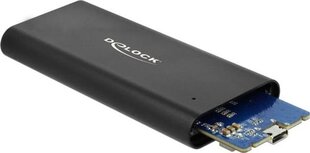 Delock Išorinis HDD korpusas M.2 NVME USB-C 3.1 Gen kaina ir informacija | Komponentų priedai | pigu.lt