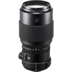 FUJIFILM FUJINON GF 250mm F4 R LM OIS WR цена и информация | Объективы | pigu.lt