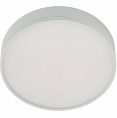 LED светильник G.LUX GW-800-LED 16W цена и информация | Потолочные светильники | pigu.lt