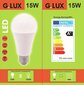 LED lemputės 15W 10vnt G.LUX GR-LED-A60-15W 3000K kaina ir informacija | Elektros lemputės | pigu.lt