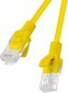 Tinklo kabelis Lanberg U/UTP kat.5e 30 m RJ45 цена и информация | Kabeliai ir laidai | pigu.lt