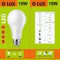 LED lemputės G.LUX GR-LED-A60-15W 4000K, 10vnt. Pakuotė цена и информация | Elektros lemputės | pigu.lt