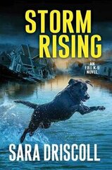 Storm Rising kaina ir informacija | Apsakymai, novelės | pigu.lt