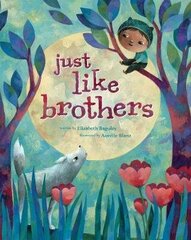 Just Like Brothers 2018 цена и информация | Книги для детей | pigu.lt