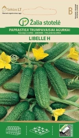 Paprastieji trumpavaisiai agurkai Lilbelle H цена и информация | Daržovių, uogų sėklos | pigu.lt