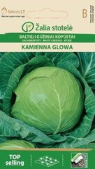 Белокочанная капуста Kamienna glowa цена и информация | Семена овощей, ягод | pigu.lt