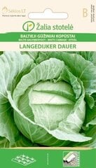 Белокочанная капуста Langedijker dauer цена и информация | Семена овощей, ягод | pigu.lt