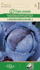 Raudonieji gūžiniai kopūstai Langedijker dauer 2 kaina ir informacija | Daržovių, uogų sėklos | pigu.lt