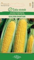 Кукуруза Golden bantam цена и информация | Семена овощей, ягод | pigu.lt