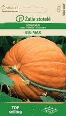 Тыква Max, 3 г цена и информация | Семена овощей, ягод | pigu.lt