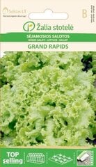 Салат Grand rapids, 2 г цена и информация | Семена овощей, ягод | pigu.lt