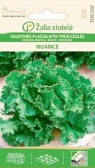 Цикорий Эндивий Nuance, 0.5 г цена и информация | Семена овощей, ягод | pigu.lt