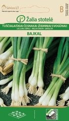 Tuščialaiškiai česnakai Bajkal kaina ir informacija | Daržovių, uogų sėklos | pigu.lt