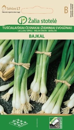Tuščialaiškiai česnakai Bajkal kaina ir informacija | Daržovių, uogų sėklos | pigu.lt