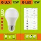 LED lemputės G.LUX GR-LED-A60-12W 4000K, 10vnt. Pakuotė kaina ir informacija | Elektros lemputės | pigu.lt