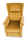 Fotelis Halmar Agustin 2, geltonas kaina ir informacija | Svetainės foteliai | pigu.lt