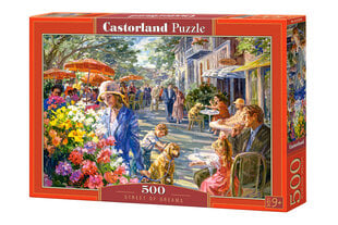 Dėlionė Castorland Street Of Dreams, 500 det. kaina ir informacija | Dėlionės (puzzle) | pigu.lt