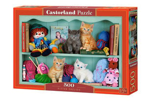 Dėlionė Castorland Kitten Shelves, 500 d. kaina ir informacija | Dėlionės (puzzle) | pigu.lt