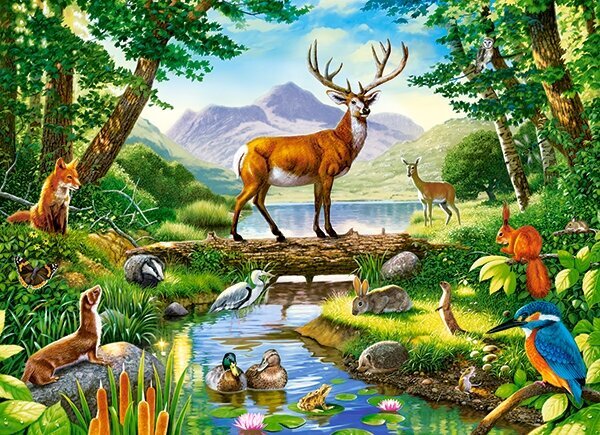 Dėlionė Castorland Woodland Harmony, 300 det. kaina ir informacija | Dėlionės (puzzle) | pigu.lt