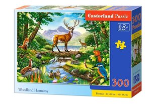 Dėlionė Castorland Woodland Harmony, 300 det. kaina ir informacija | Dėlionės (puzzle) | pigu.lt