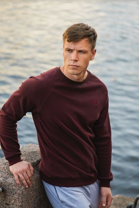 Vyriškas džemperis Wave FHM, bordo spalva kaina ir informacija | Džemperiai vyrams | pigu.lt