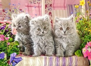 Пазл Castorland Three Grey Kittens, 300 дет. цена и информация | Пазлы | pigu.lt