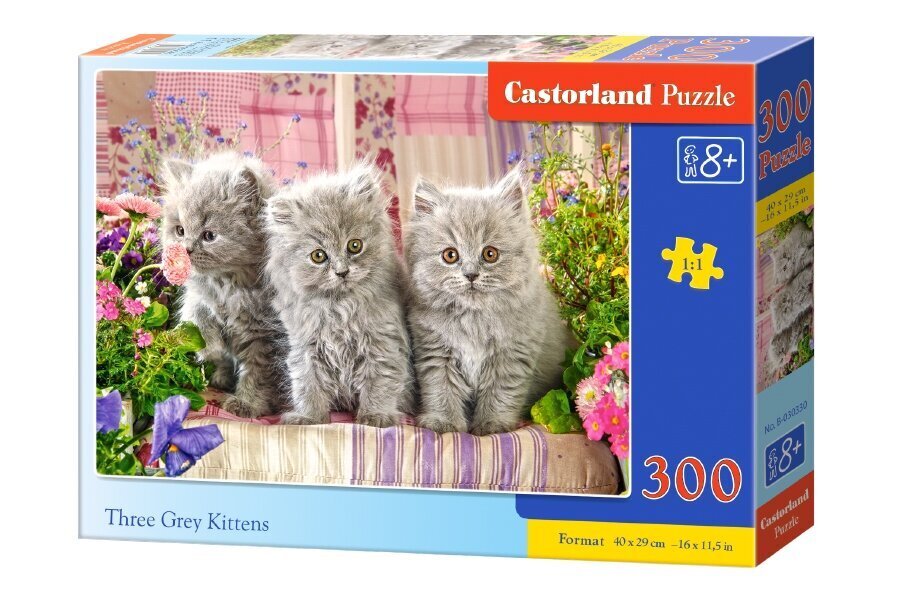 Dėlionė Castorland Three Grey Kittens, 300 det. kaina ir informacija | Dėlionės (puzzle) | pigu.lt