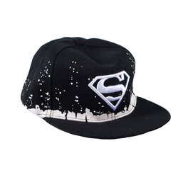 Шапка DC Superman цена и информация | Мужские шарфы, шапки, перчатки | pigu.lt