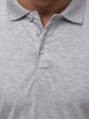 Marškinėliai vyrams Vytis, pilki kaina ir informacija | Vyriški marškinėliai | pigu.lt