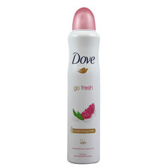 Purškiamas dezodorantas Dove Go Fresh Pomegrante & Lemon, 250 ml kaina ir informacija | Dezodorantai | pigu.lt