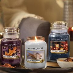 Kvapioji žvakė Yankee Candle Autumn Pearl 104 g kaina ir informacija | Žvakės, Žvakidės | pigu.lt