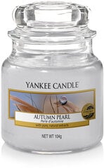 Ароматическая свеча Yankee Candle Autumn Pearl 104 г цена и информация | Подсвечники, свечи | pigu.lt