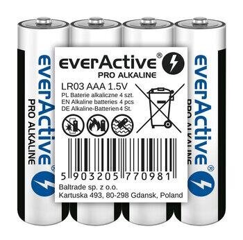 everActive LR6PRO4T kaina ir informacija | Akumuliatoriai vaizdo kameroms | pigu.lt