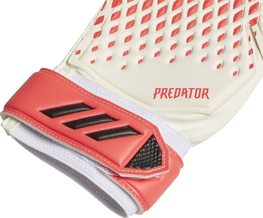 Vartininko pirštinės Adidas Predator 20 Training FJ5989, baltos kaina ir informacija | Vartininko pirštinės | pigu.lt