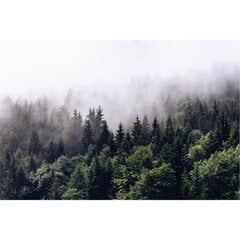 Fototapetai - Rūkas miške kaina ir informacija | Fototapetai | pigu.lt