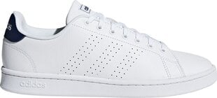 Мужские кеды Adidas F36423*4423, белые цена и информация | Кроссовки для мужчин | pigu.lt