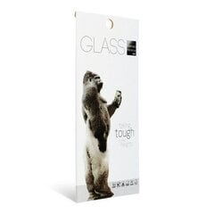 Защитное стекло закаленное стекло iPhone 13 3 шт. цена и информация | Защитные пленки для телефонов | pigu.lt