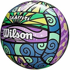 Мяч для пляжного волейбола Wilson WTH4637XB (Пересмотрено A) цена и информация | Волейбольные мячи | pigu.lt