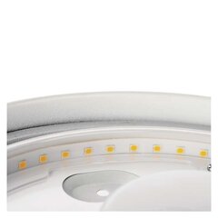 Светодиодный потолочный (настенный) светильник Cori R 32W/WW теплый белый цена и информация | Потолочные светильники | pigu.lt
