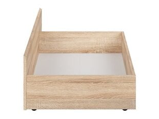 Ящик для постельного белья BRW Kaspian 120, дуб цена и информация | Выдвижные ящики, ящики для постельного белья | pigu.lt