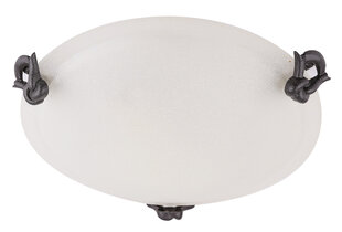 Candellux потолочный светильник Eva 30 цена и информация | Потолочные светильники | pigu.lt