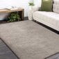 Neslystantis kilimas Shaggy Latte 160x220 cm kaina ir informacija | Kilimai | pigu.lt