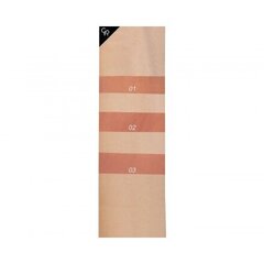 Skysti lūpų dažai Golden Rose Nude Look Velvety Matte 5,5 ml, 03 Rosy Nude kaina ir informacija | Lūpų dažai, blizgiai, balzamai, vazelinai | pigu.lt