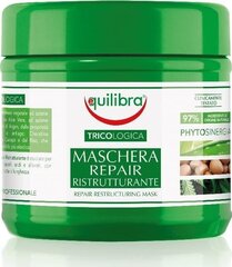 Atkuriamoji plaukų kaukė Equilibra Tricologica Restructuring Mask, ​250 ml kaina ir informacija | Priemonės plaukų stiprinimui | pigu.lt