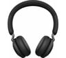 Jabra Elite 45H 100-91800000-60 Titanium Black kaina ir informacija | Ausinės | pigu.lt